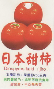 日本甜柿