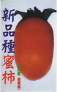 新品種蜜柿1