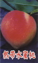 熱帶水蜜桃1